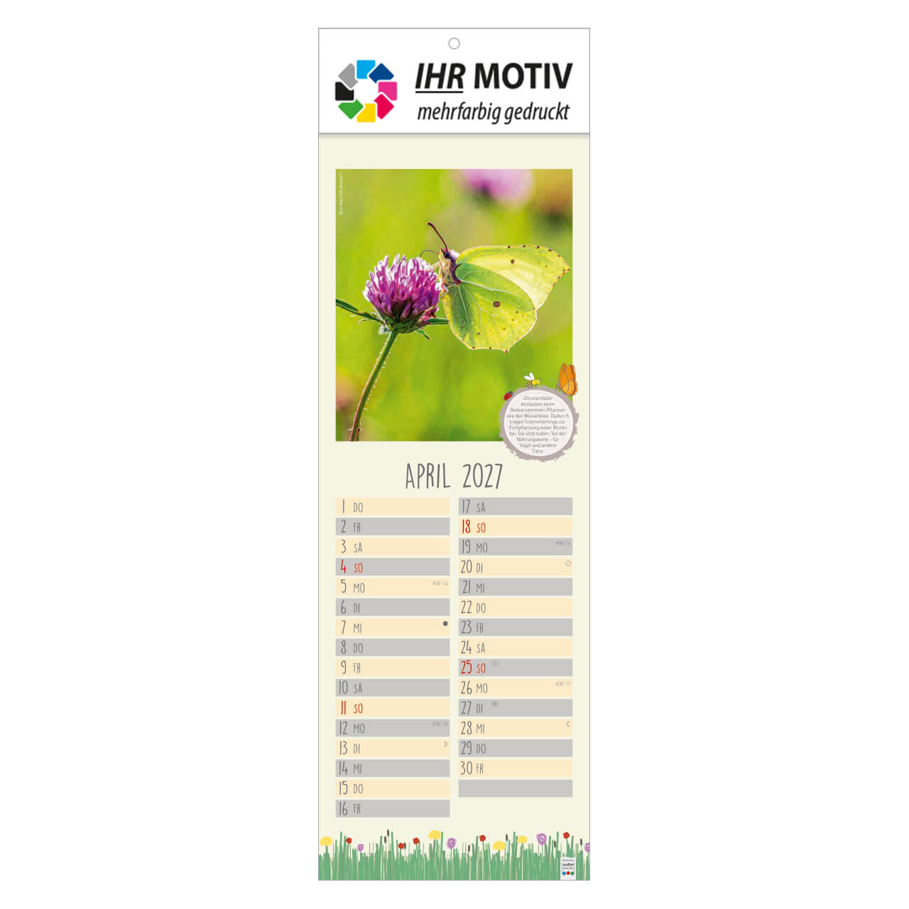/customers_pics/593/artikel/1112115307/Naturnah_2027_Ihr Motiv_138-2027_IhreWerbung-a_4.jpg